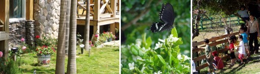 Kenting Stony Brook Nature Farm