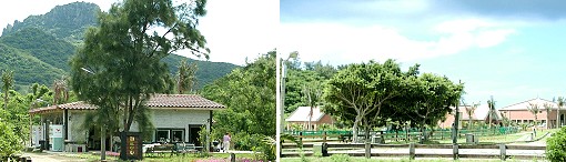 Kenting Stony Brook Nature Farm